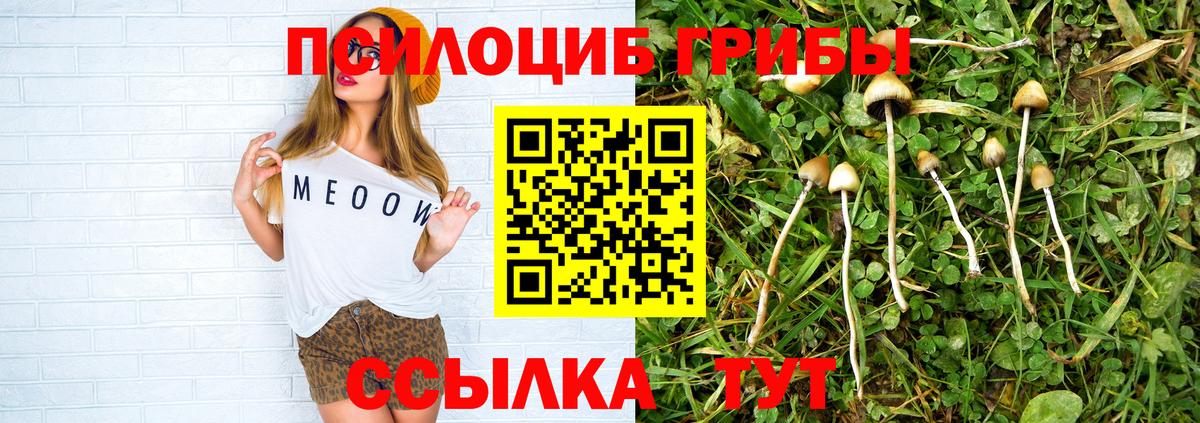 Псилоцибиновые грибы MAGIC MUSHROOMS  Вход с VPN  Киров 